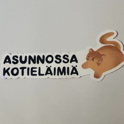 Asunnosa kotieläimiä -tarra oranssin kissan kuvalla